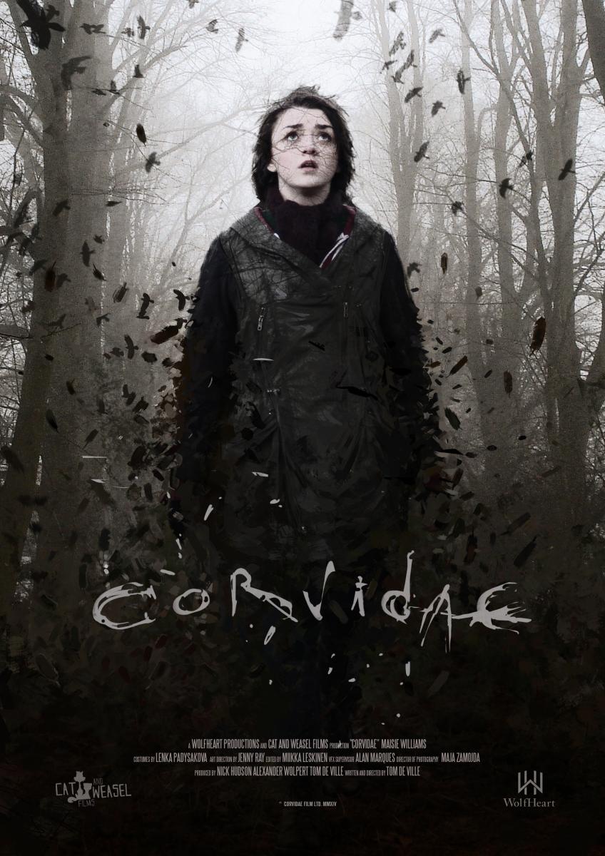Corvidae (2013)