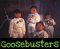 Goosebuster  (1991)