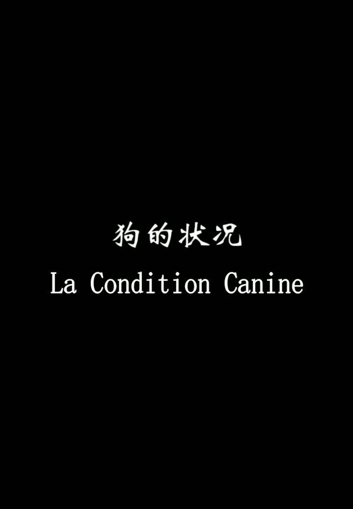 The Condition of Dogs (2001)