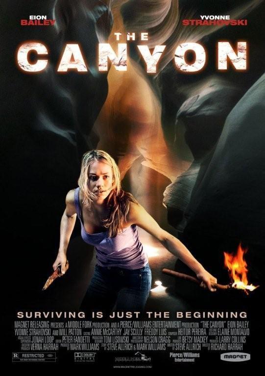 El cañón (2009)