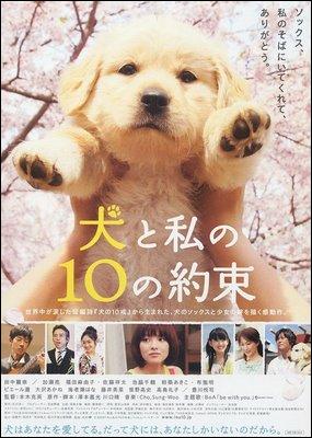 10 Promises to My Dog (2008)
