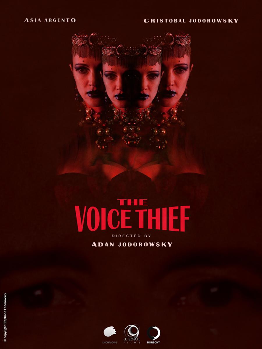 El ladrón de voces (2013)