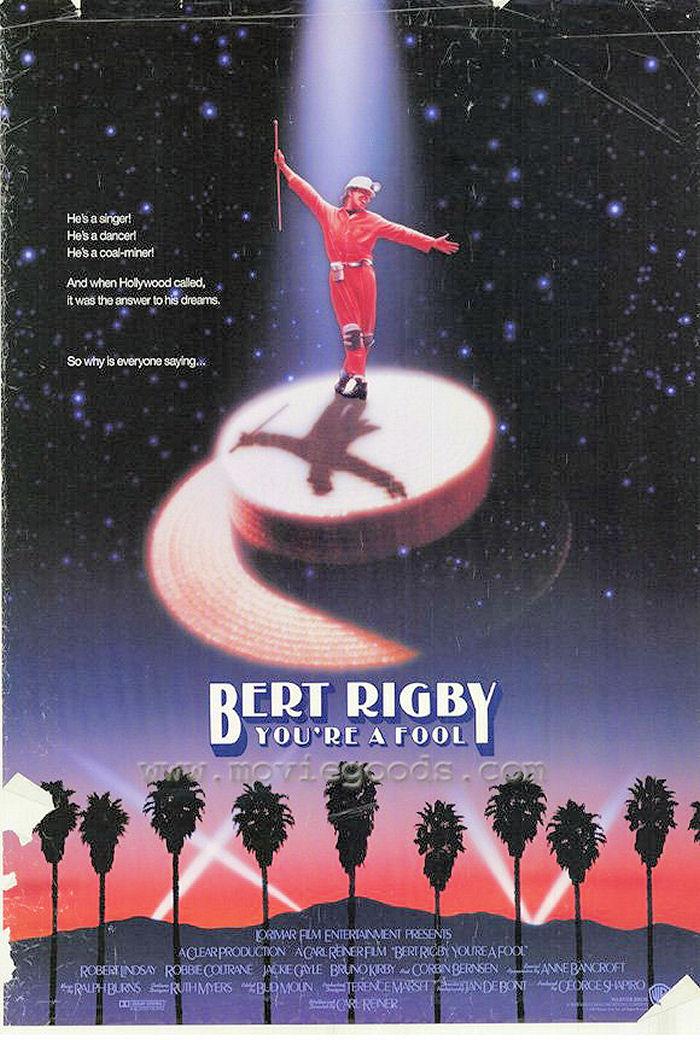 Bert Rigby, estás loco (1989)