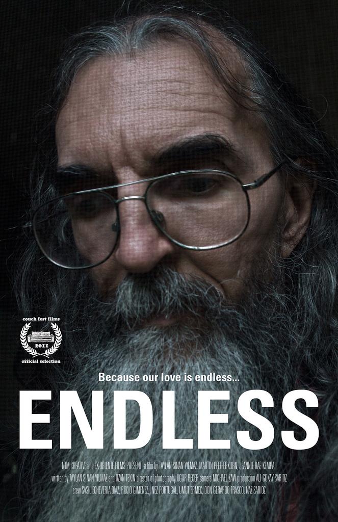 Endless (2011)