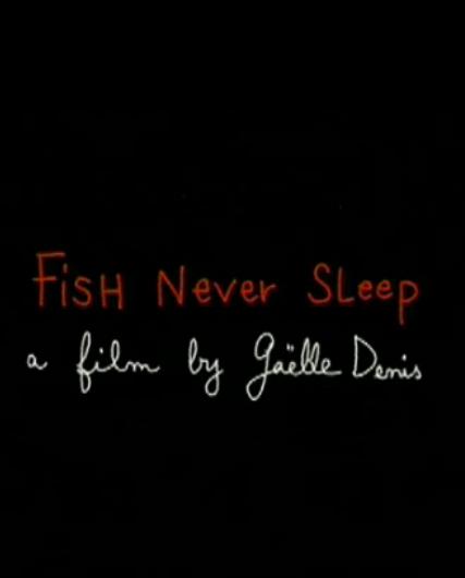 Fish Never Sleep (2004)
