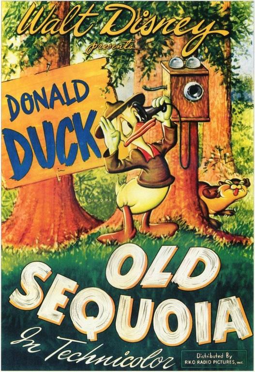 Pato Donald: La vieja secoya (1945)