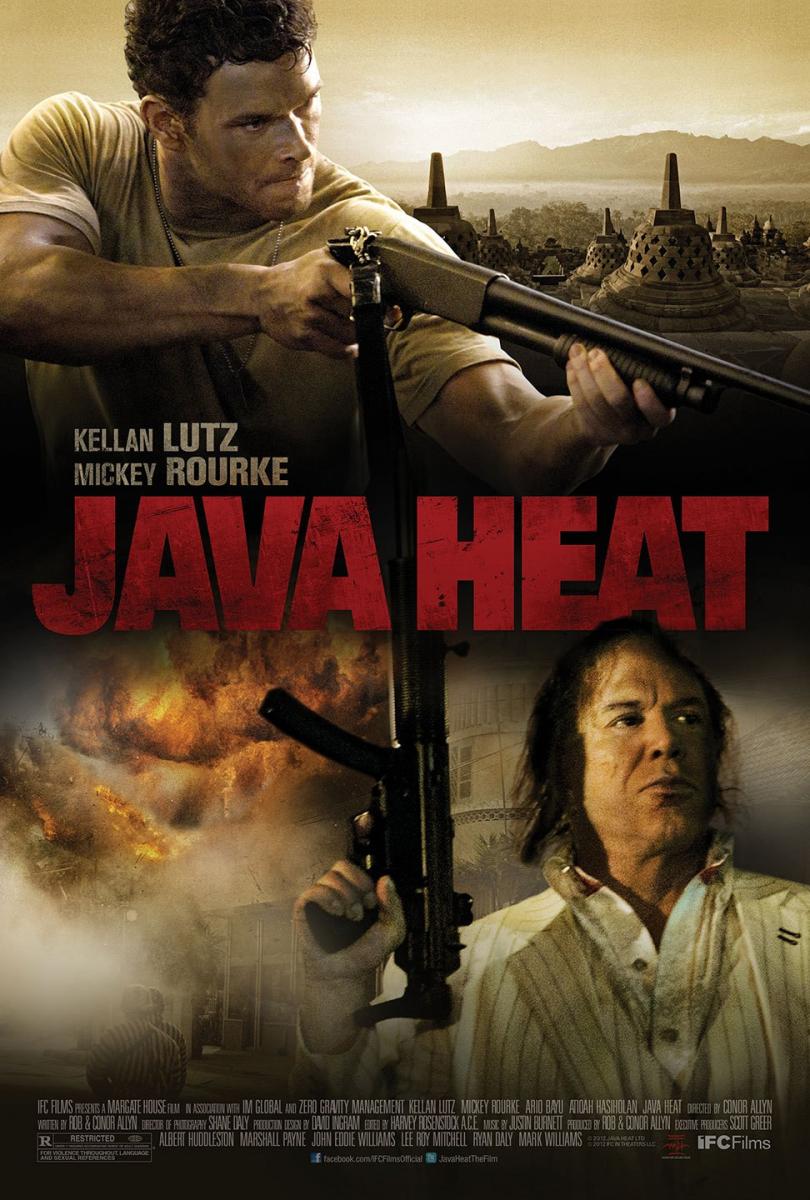 Golpe en Java (2013)