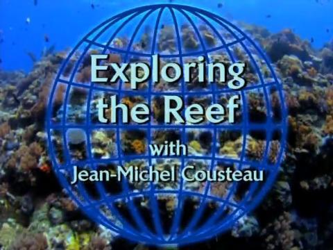 Buscando a Nemo: Explorando el arrecife (2003)