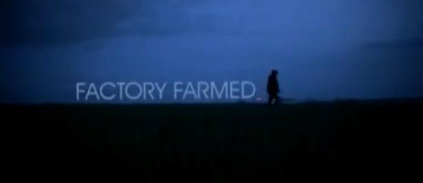 Factory Farmed (2008)