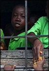 School Meals Liberia (2009)