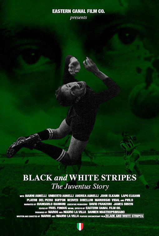 Black and White Stripes: The Juventus ... (2014)
