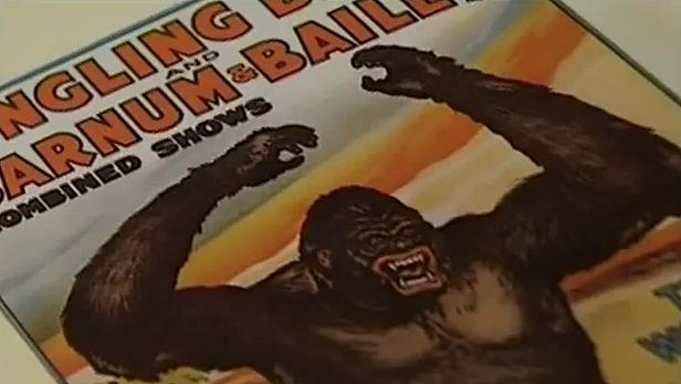 A la sombra de King Kong (2003)