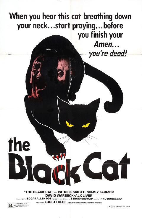 El gato negro (1981)