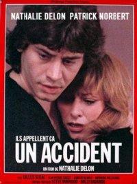 Ils appellent ça un accident (1982)