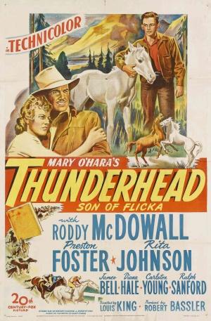 Thunderhead, hijo de Flicka (1945)