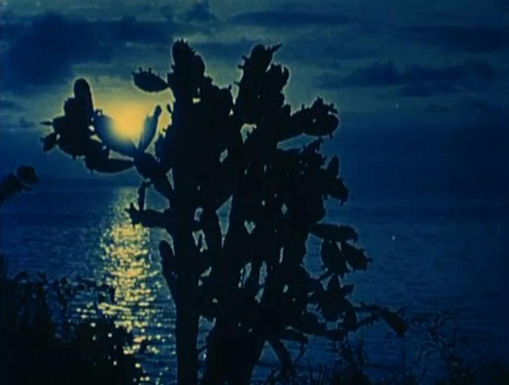 Tropical Nights (1920)