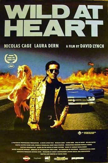 Corazón salvaje (1990)