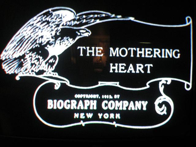 The Mothering Heart (1913)