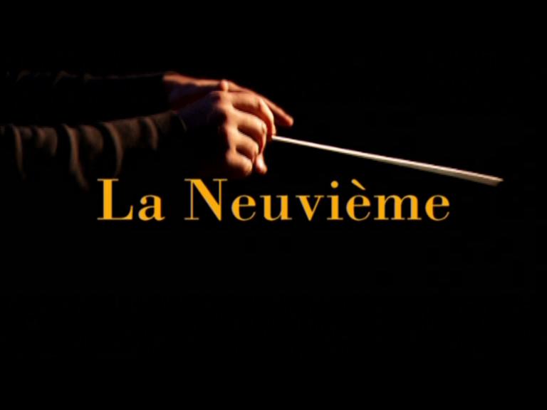 La novena sinfonía: Un himno colectivo (2004)