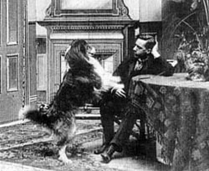 Salvado por su perro (1905)