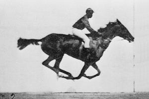 Sallie Gardner at a Gallop (1880)