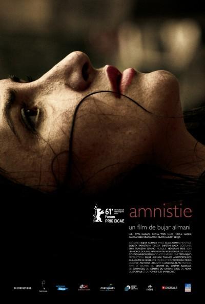 Amnistía (2011)