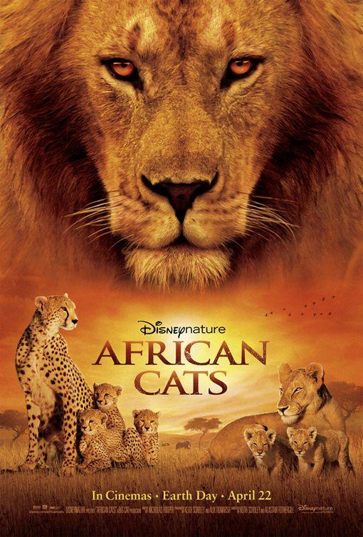 Grandes felinos africanos: el reino del ... (2011)