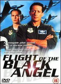 El vuelo del ángel negro (1991)