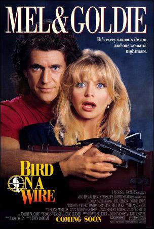 Dos pájaros a tiro (1990)