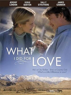 Lo que hice por amor (2006)
