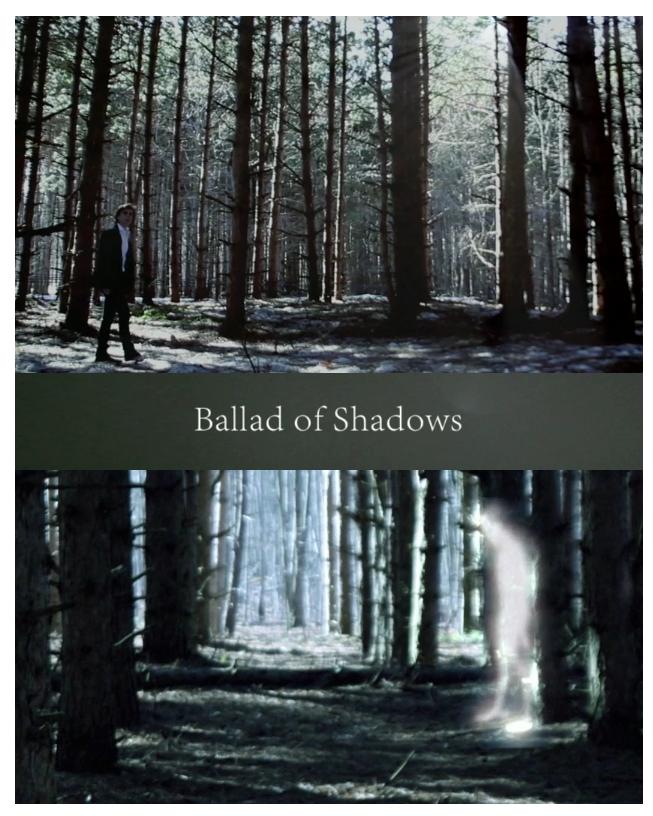 Ballad of Shadows (2011)