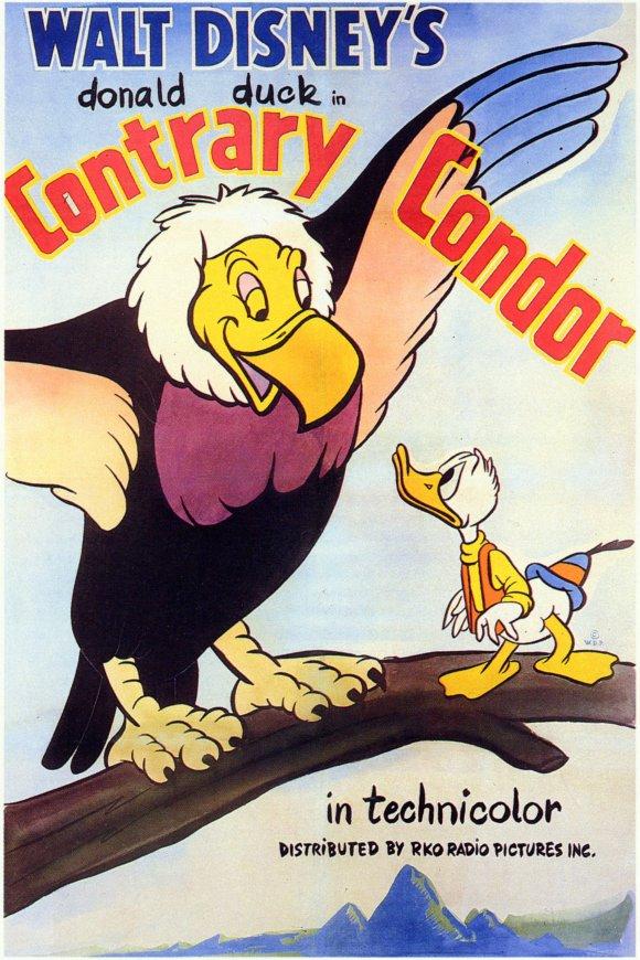Pato Donald: Cóndor contradictorio (1944)
