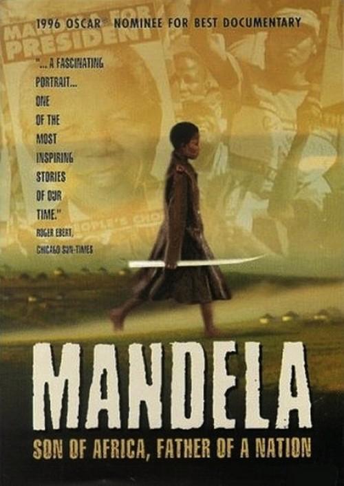 Mandela: Son of Africa, Father of a Nation (1996)