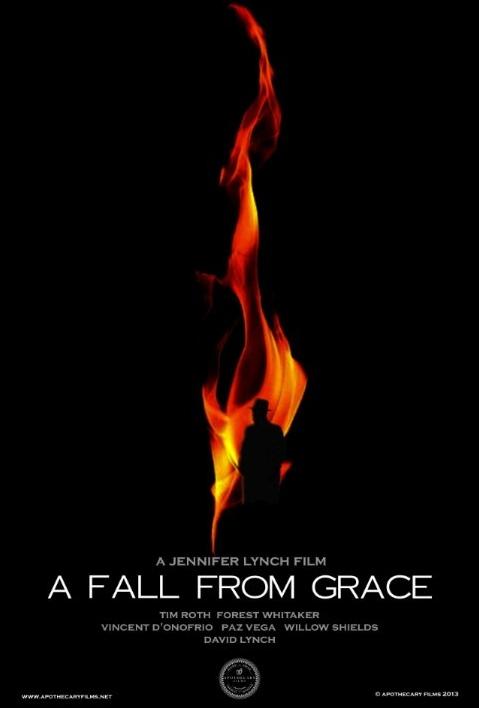 A Fall from Grace (2018)