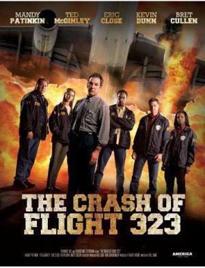 La catástrofe del vuelo 323 (2004)