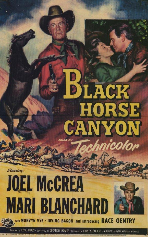El cañón del corcel negro (AKA Sin ley) (1954)