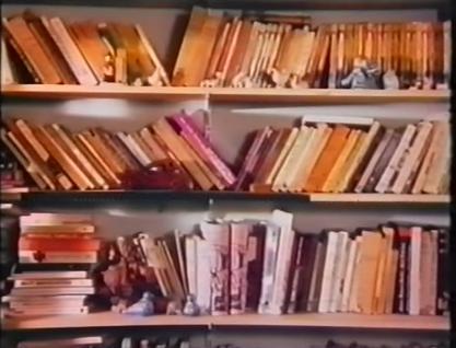 El regreso del amateur de bibliotecas (1983)