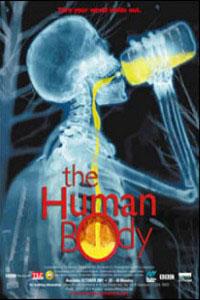 El cuerpo humano (2001)