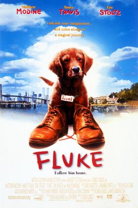 Mi amigo Fluke (1995)