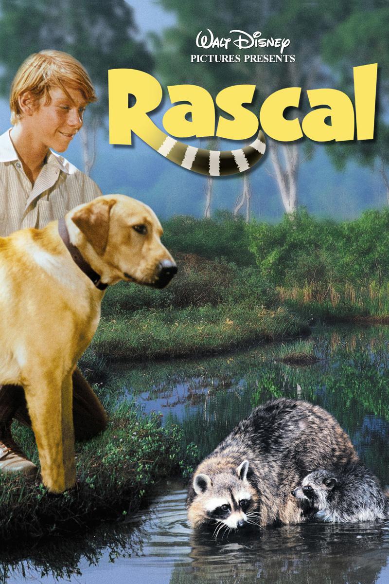Mi amigo Rascal (1969)