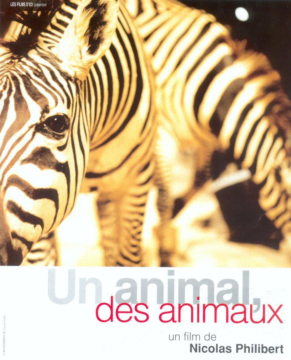 Un animal, animales (Un animal, varios animales) (1996)