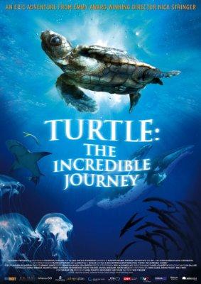 El viaje de la tortuga (2009)