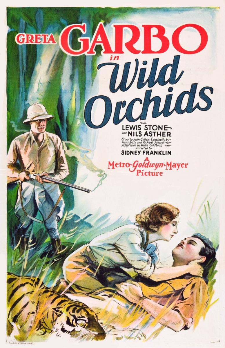 Orquídeas salvajes (1929)