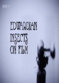 Edwardian Insects on Film (2013)