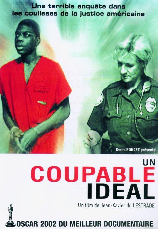 Un culpable ideal (Un coupable idéal) (2001)