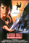 El guerrero americano 3 (1989)