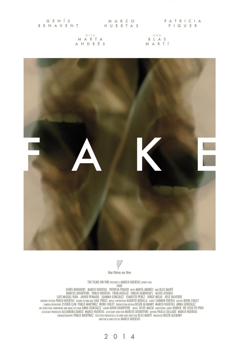Fake (2013)