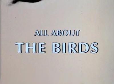 Todo sobre 'Los pájaros' (2000)