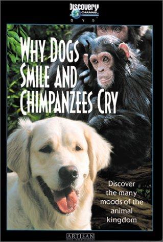 ¿Por qué los perros sonríen y los ... (1999)