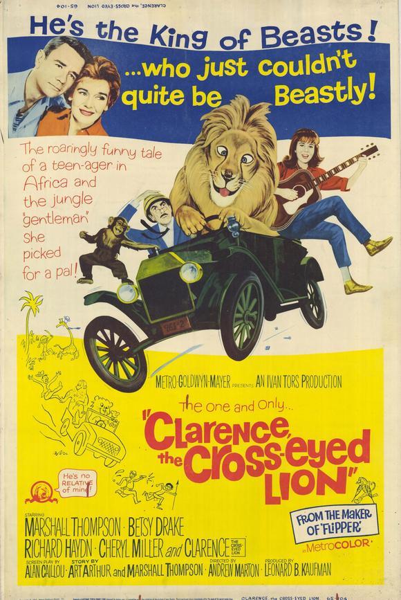 Daktari Clarence, el león bizco (1965)